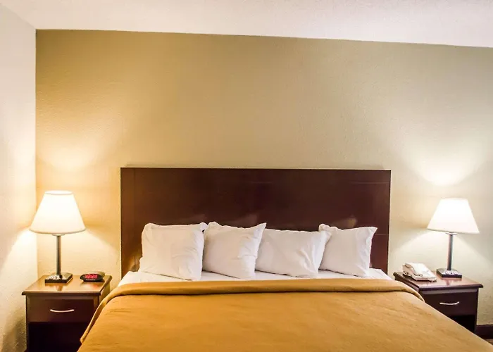 Quality Inn & Suites Pensacola Bayview