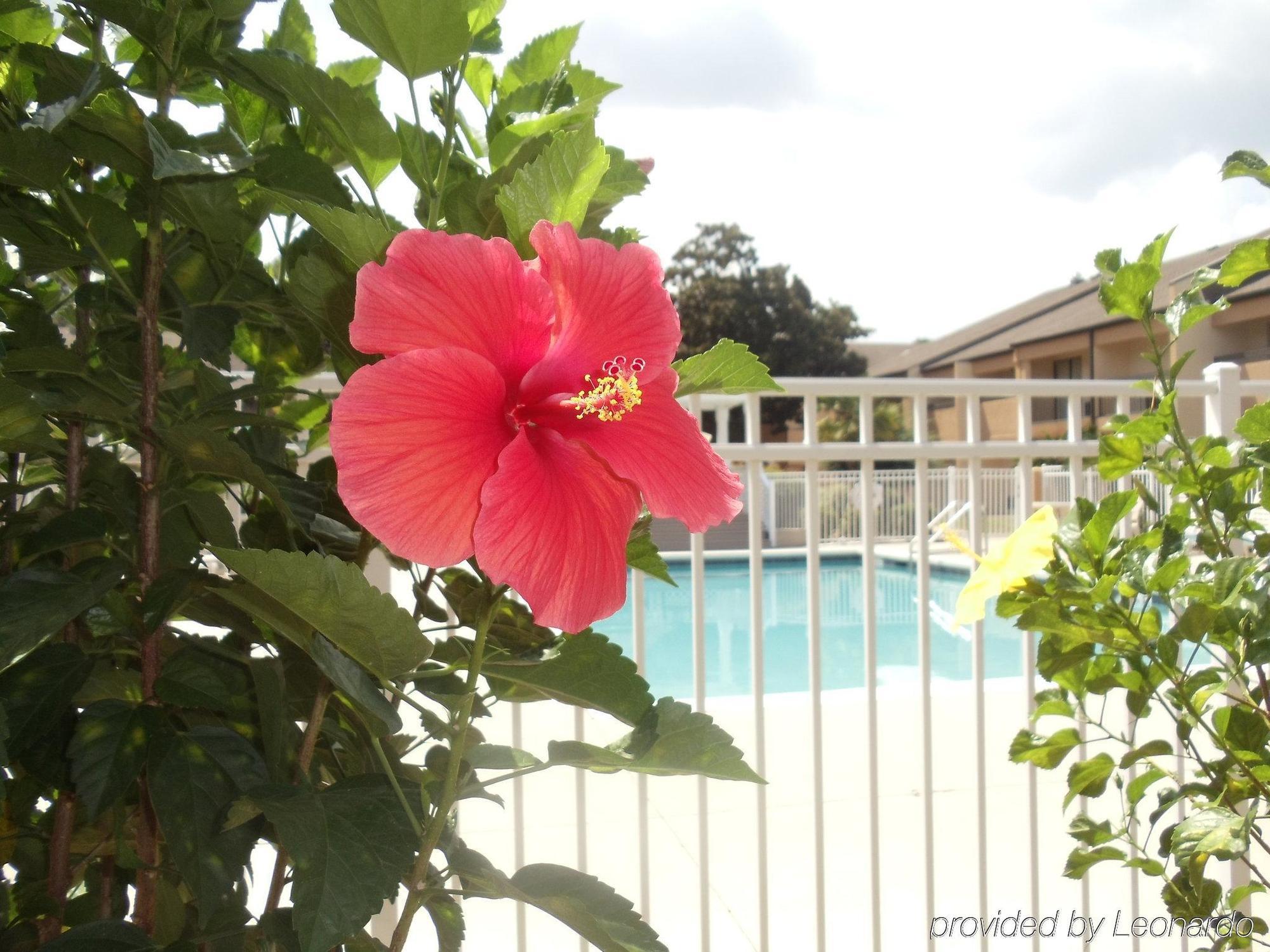 Quality & Pensacola Bayview Hotel